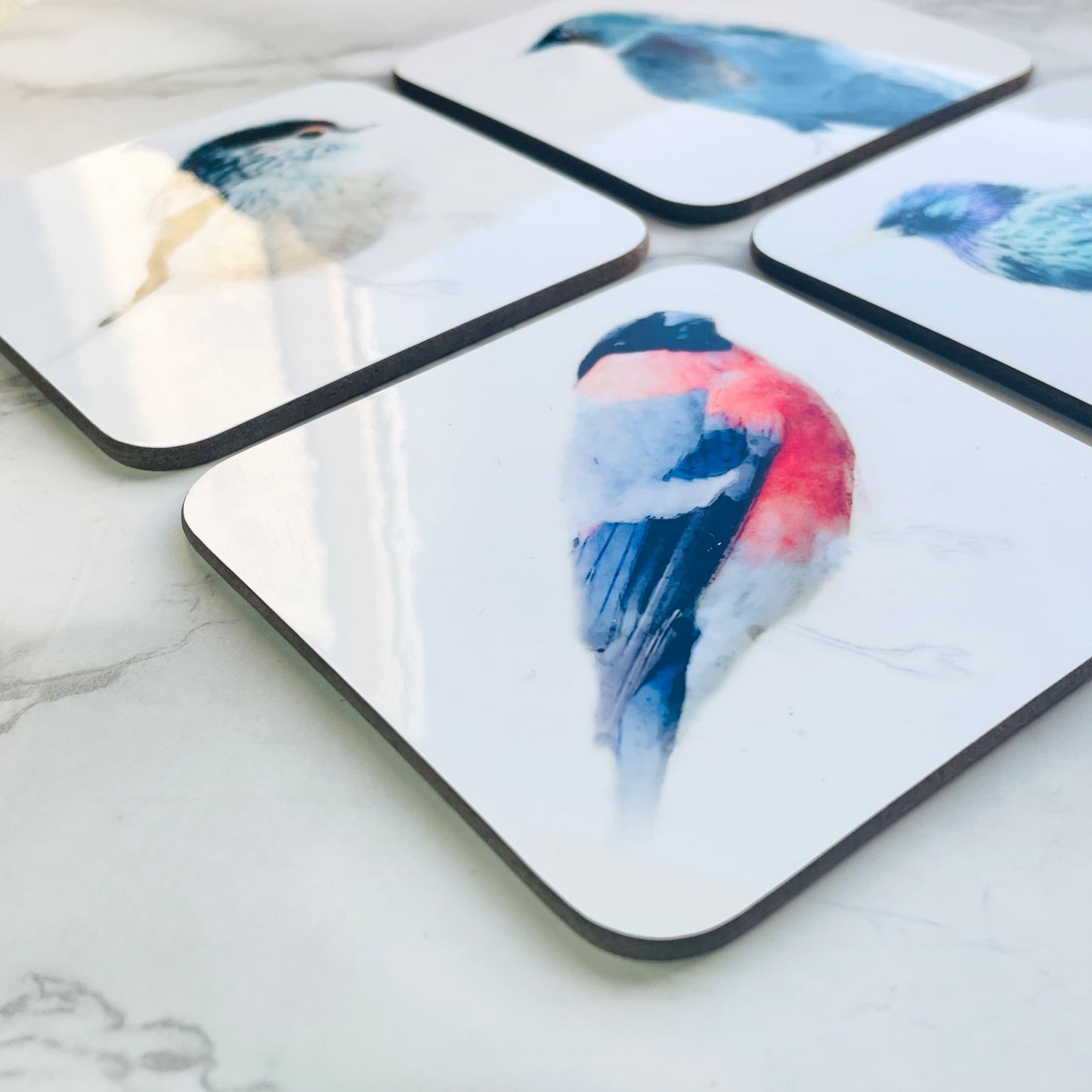 British Birds Art Coaster Set