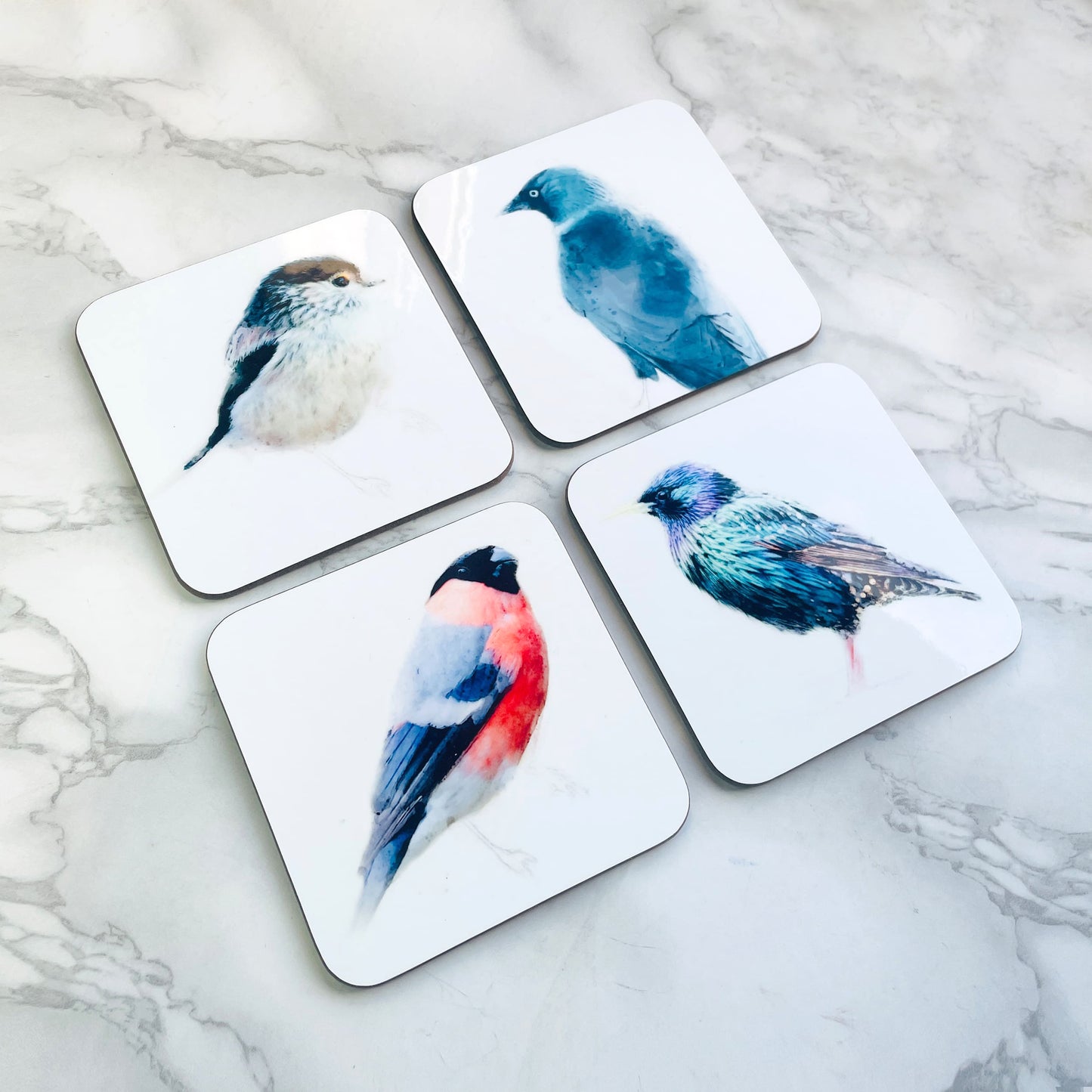 British Birds Art Coaster Set