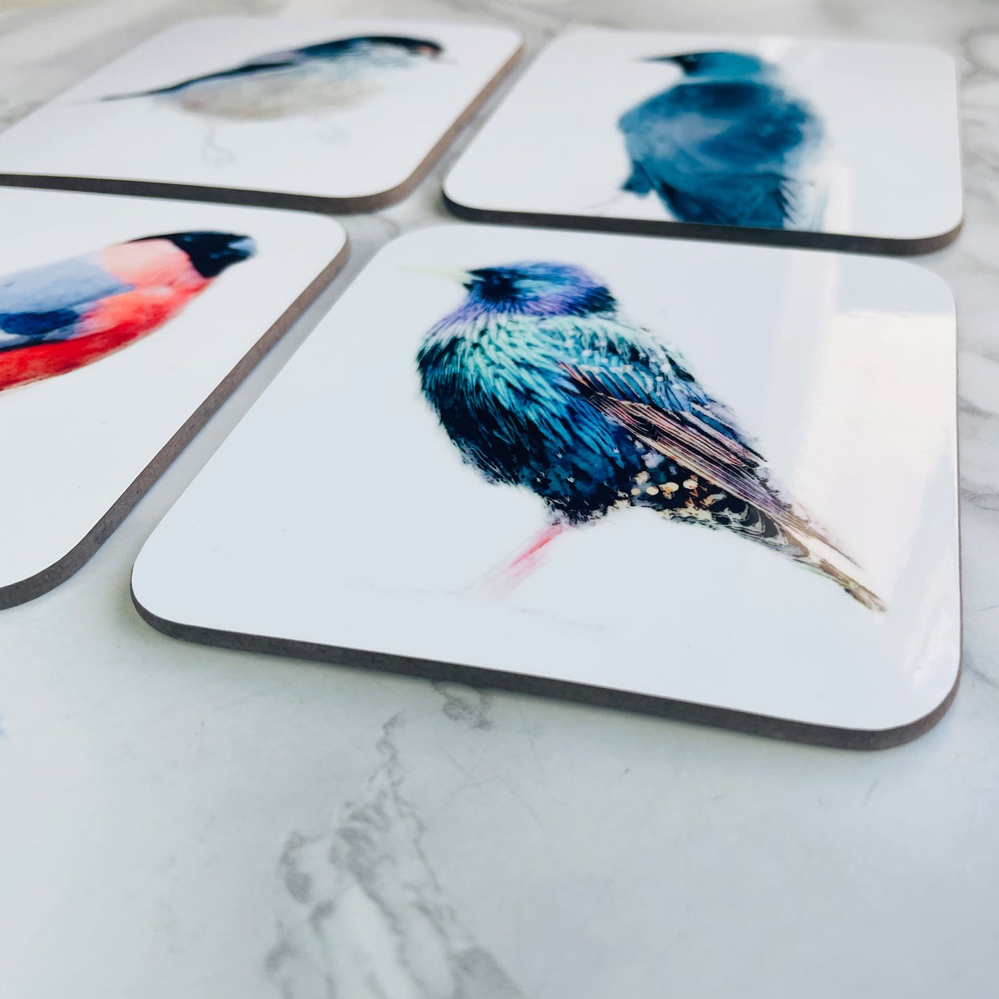 British Birds Art Coaster Set