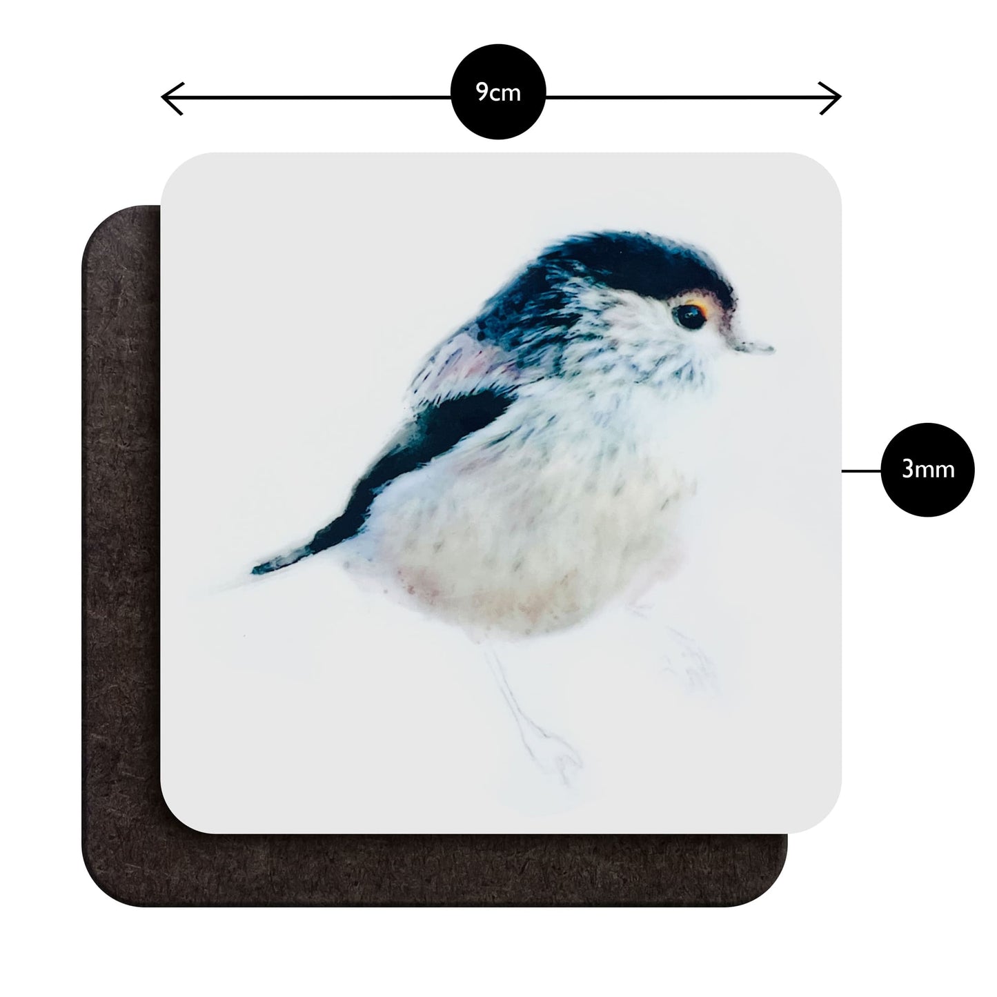 British Birds Art Coaster Set