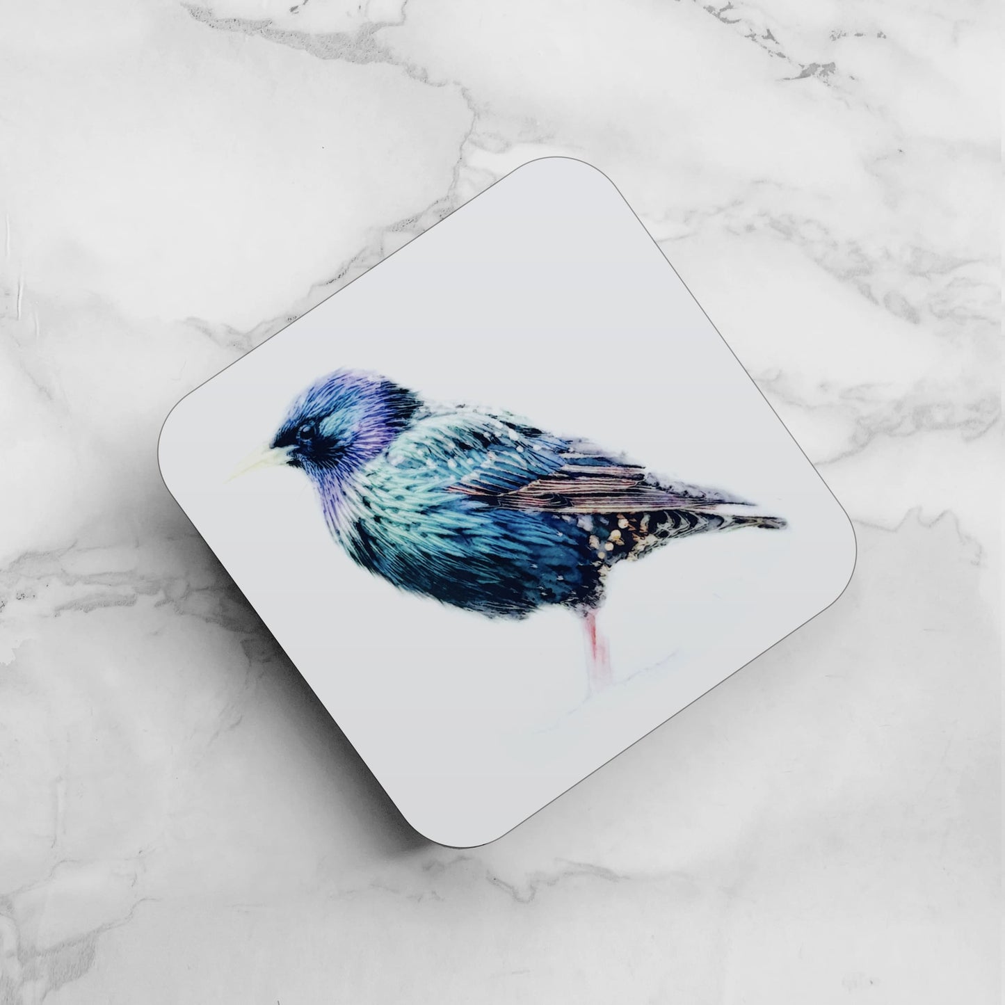 British Birds Art Coaster Set